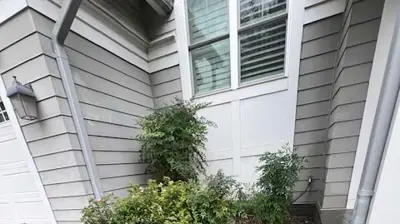 Exterior Remodeling Photo