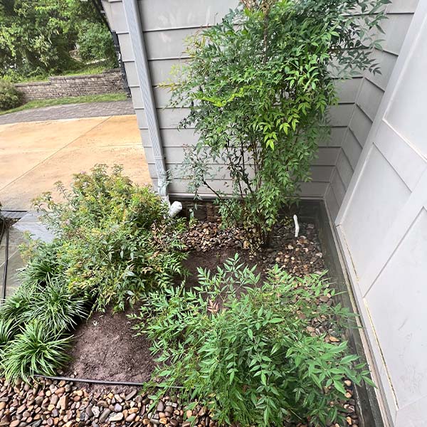 Front garden outside house