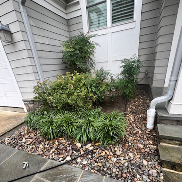 Garden in front of house with lush green shrubs and grasses surrounded by smooth pebbles next to a gray house with white accents and a visible downspout.
